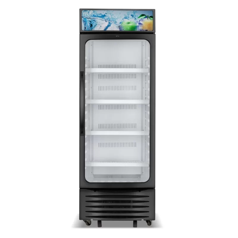 NASCO Refroidisseur Vertical 250L