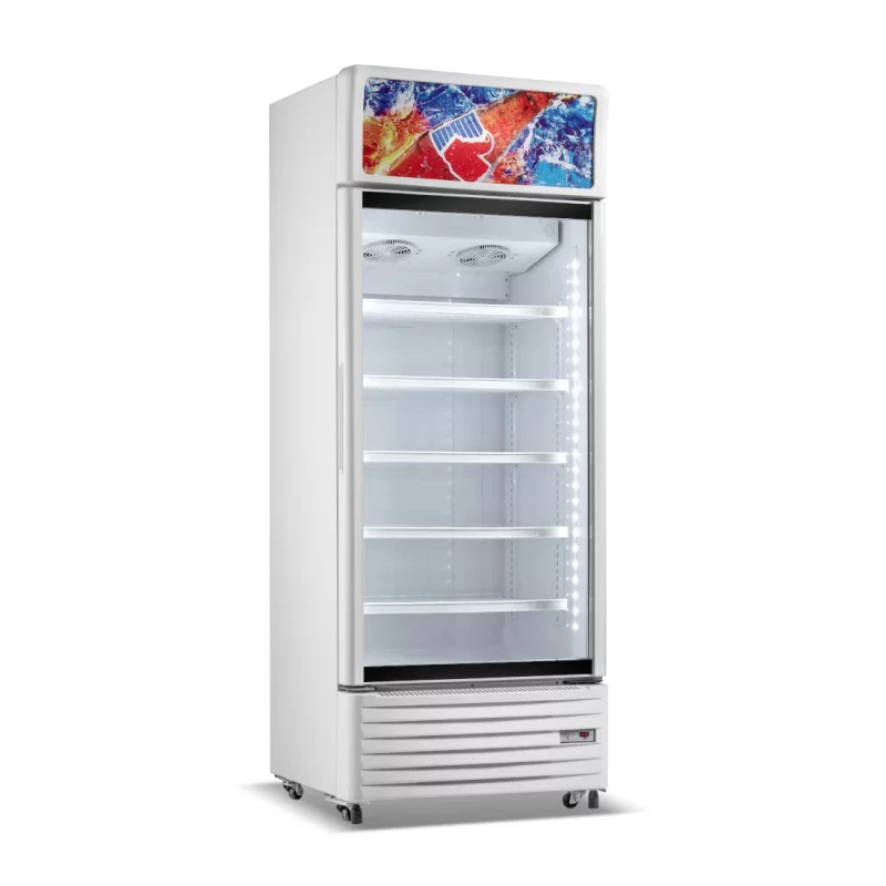 NASCO Refroidisseur Vertical 528L – Image 2