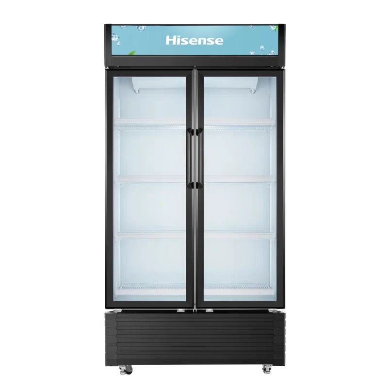 Hisense Refroidisseur Vertical Deux Portes 692L